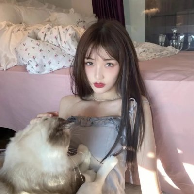 犬之力