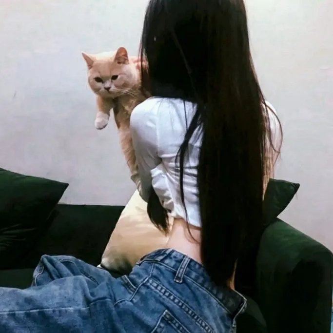 机器肉鸡第三季